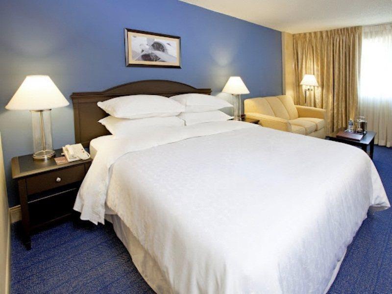 Sheraton North Houston At George Bush Intercontinental Chambre photo